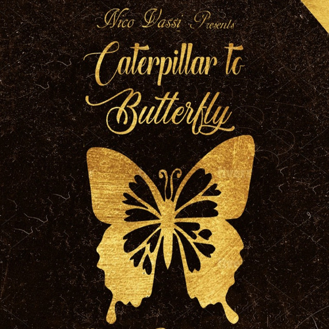 Caterpillar to Butterfly cover art