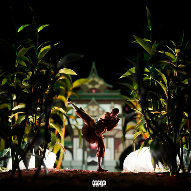 Cover art: SHAOLIN FLOW — Young Dannyboy