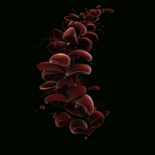 Inmarcesible cover art