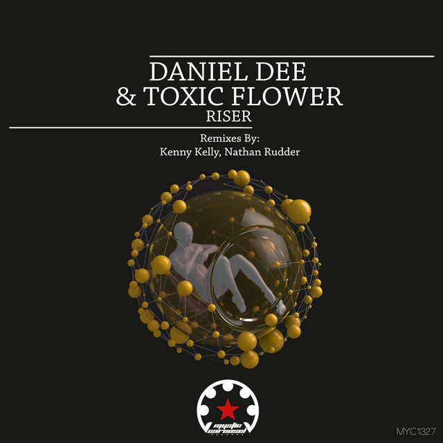 Riser cover art