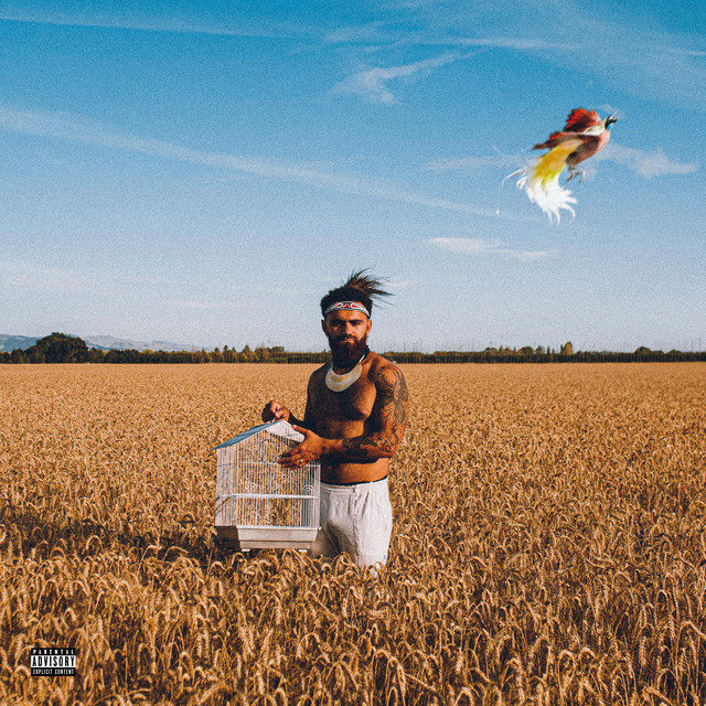 Trip Advisor cover art