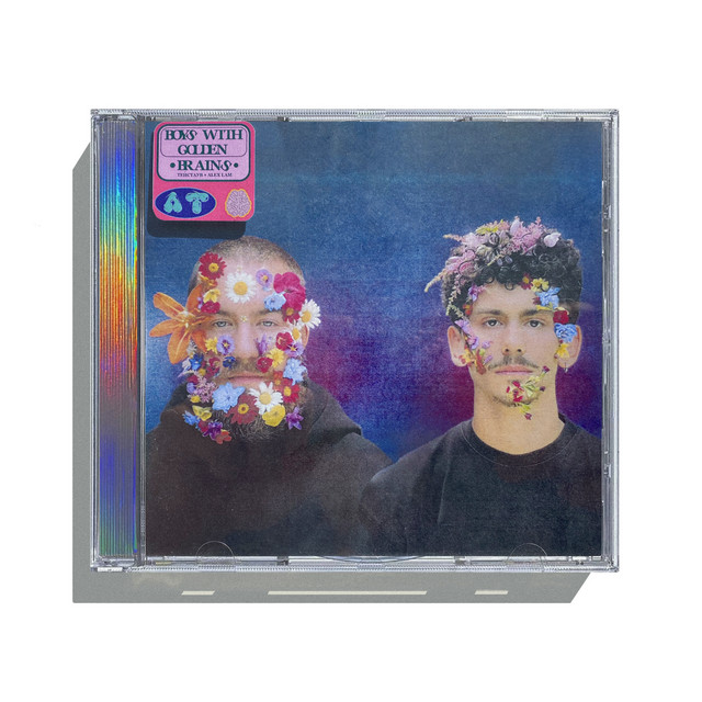 BOYS WITH GOLDEN BRAINS cover art