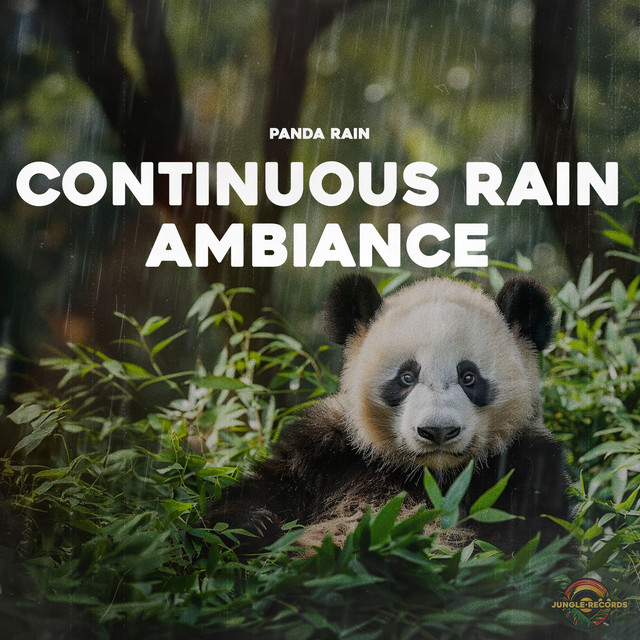 Continuous Rain Ambiance cover art