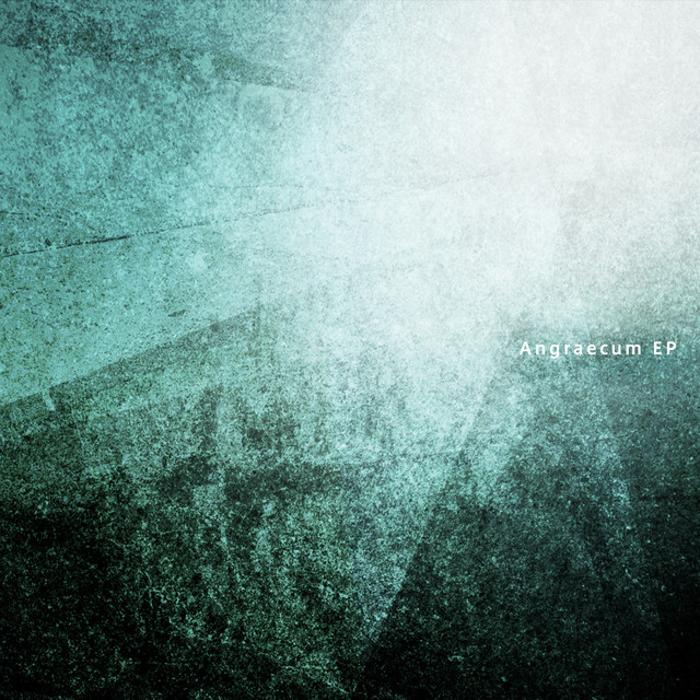 Angraecum (single)