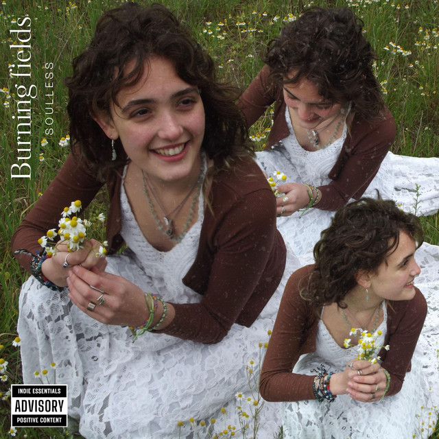 Burning fields cover art