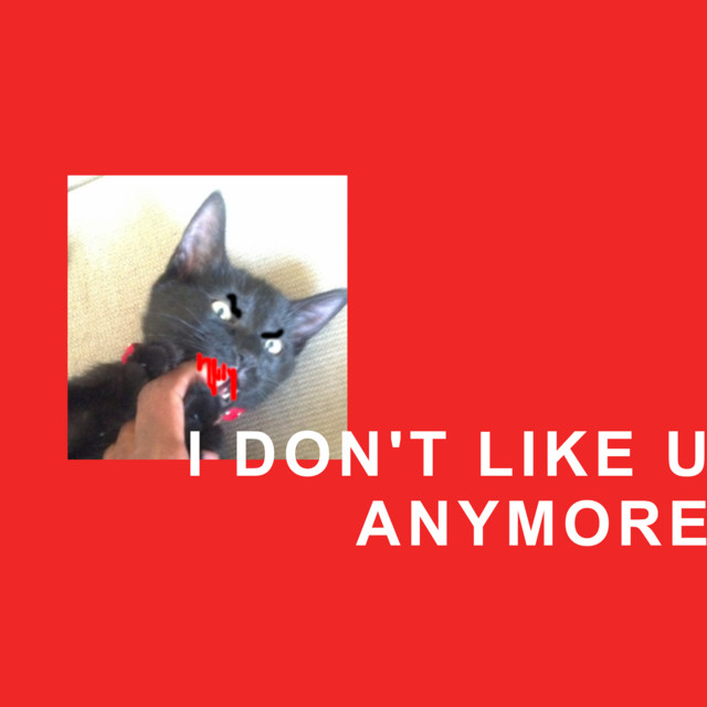 I Don't Like U Anymore cover