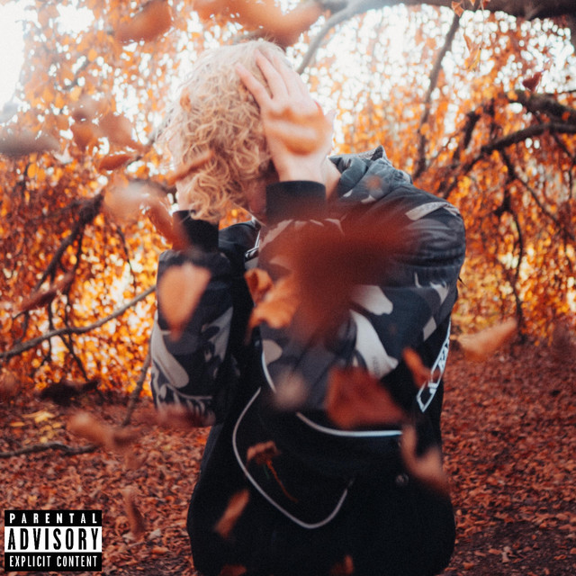 anders cover art