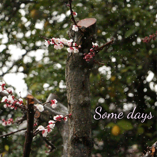 Some Days cover art
