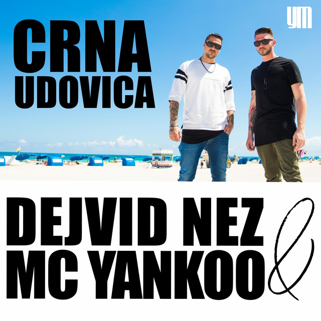 Crna Udovica (Radio) cover