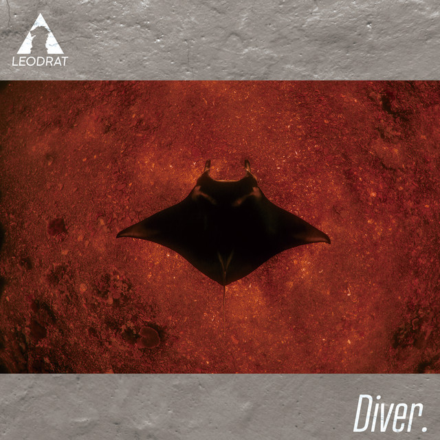 Diver. cover art