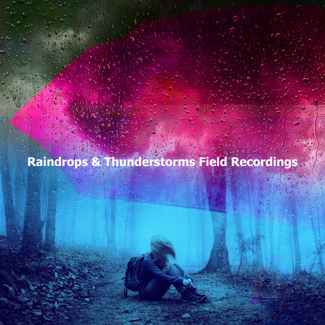 Raindrops & Thunderstorms Field Recordings cover art