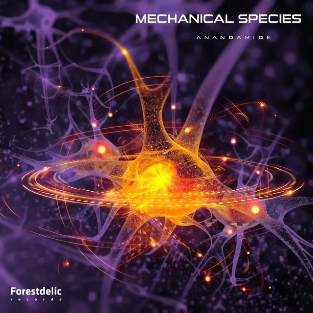 Ananadamide cover