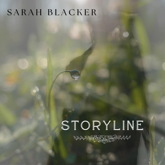 Storyline cover