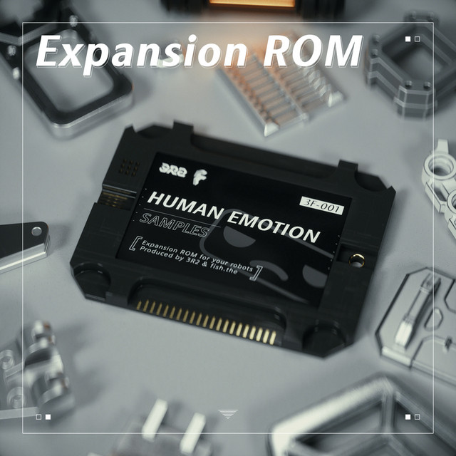 Expansion ROM cover art