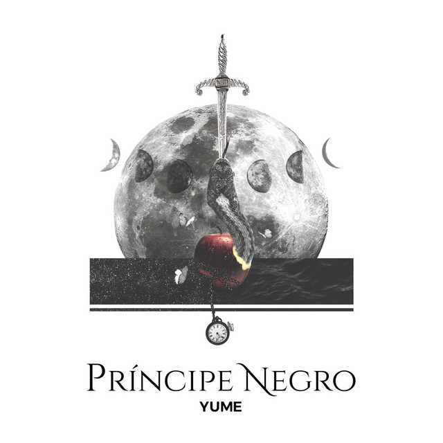 Príncipe Negro cover art