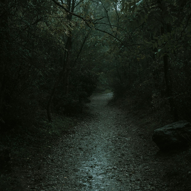 Haunted cover
