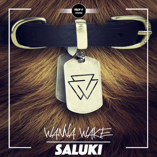 Обкладинка: Saluki — Wanna Wake