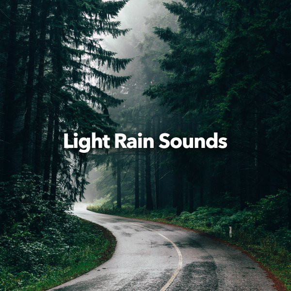 Light Rain Sounds cover art