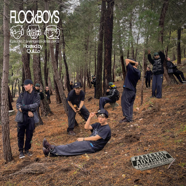 Flockboys dos cover art