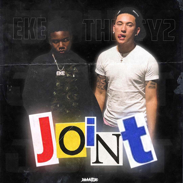Joint cover art