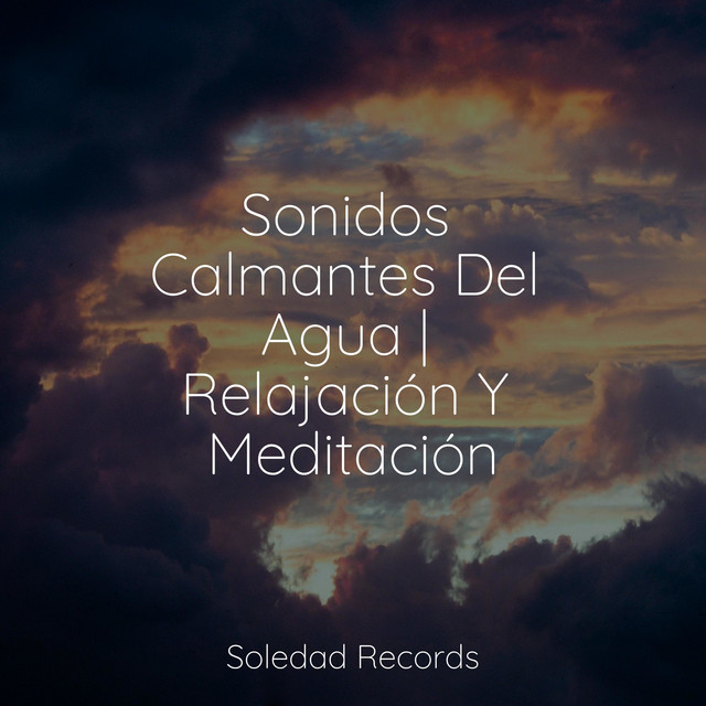 Sonidos Calmantes Del Agua | Relajación Y Meditación cover art