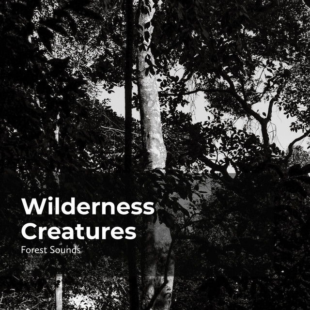 Wilderness Creatures cover art