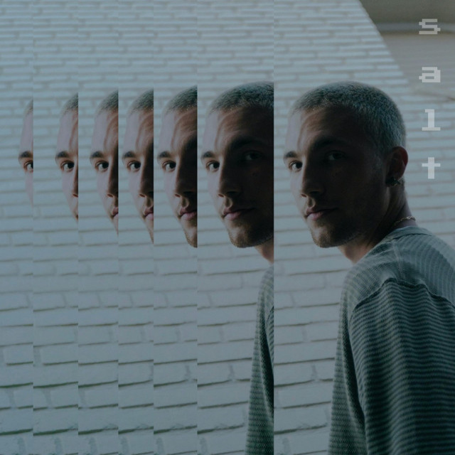 salt cover art