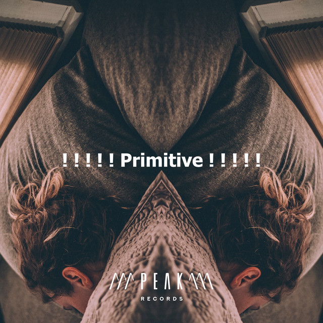 Primitive ! ! ! ! ! - Album by Sound Sleeping | Spotify