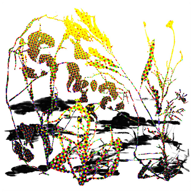 SONEGA SONELA cover art