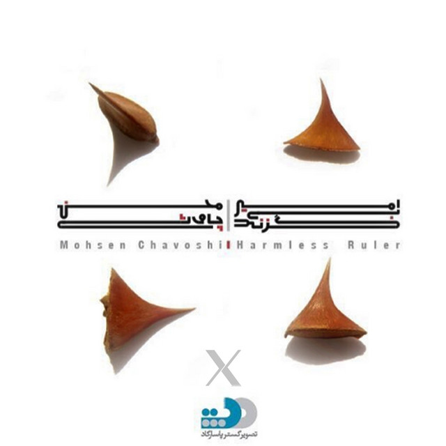 Harmless Ruler (Amir e Bi Gazand) cover art