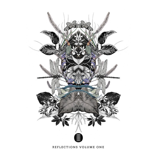 Reflections, Vol. 1 cover art