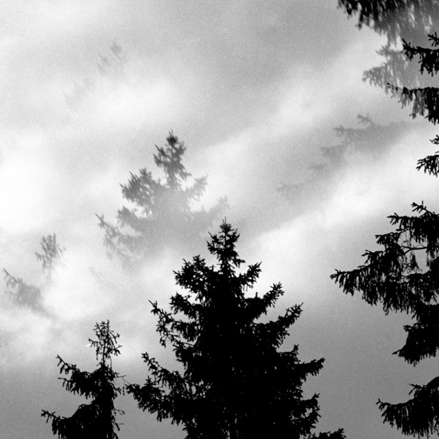 Taunus cover art