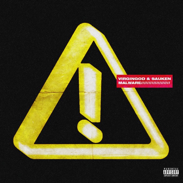 Malware cover art