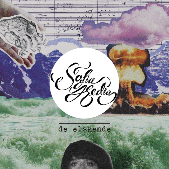 De Elskende cover art
