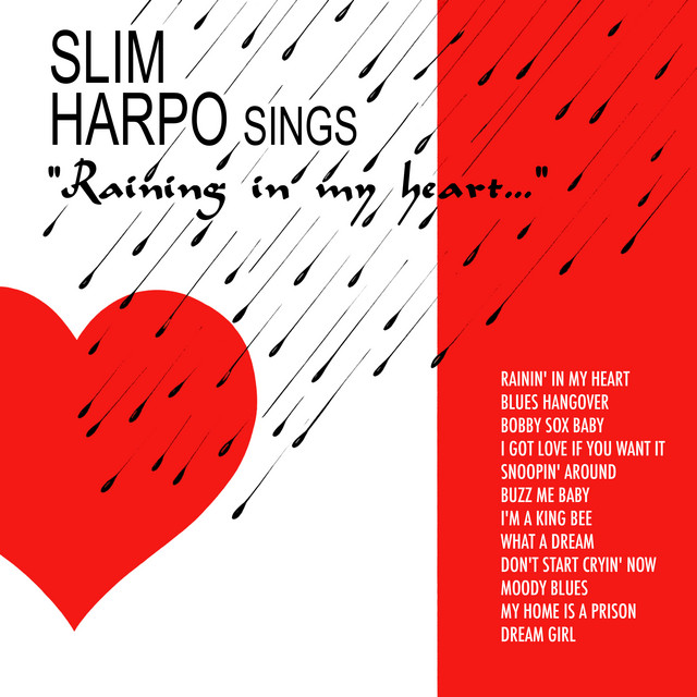 Sings Raining in My Heart cover art