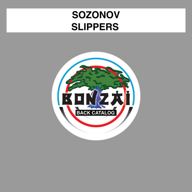 Slippers cover art
