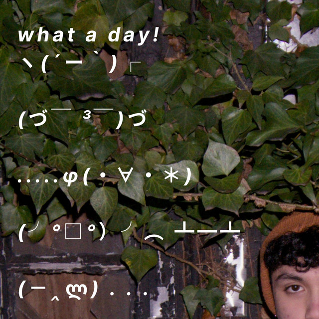 what a day! cover art