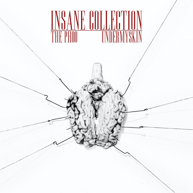 Insane Collection cover art