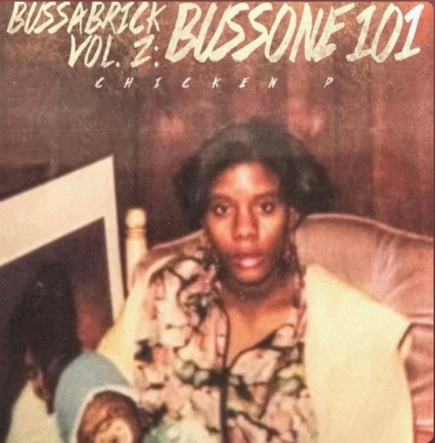 BussaBrick Vol.2 :BussOne 101 cover art