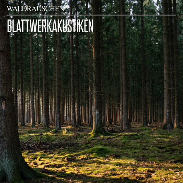Blattwerkakustiken cover art