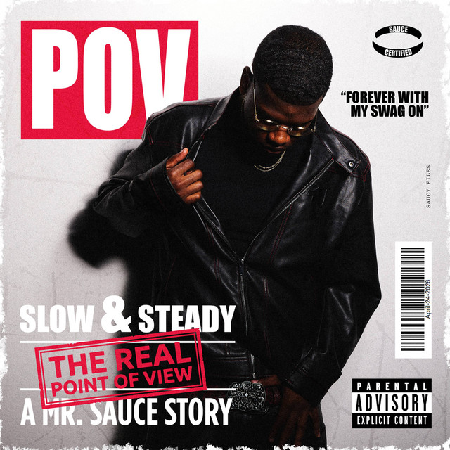 POV cover art