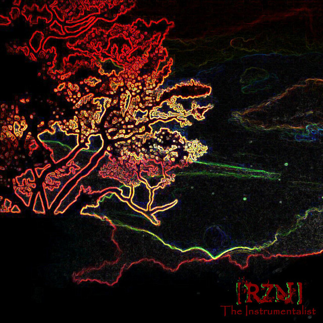 The Instrumentalist - Album by [RZN] | Spotify