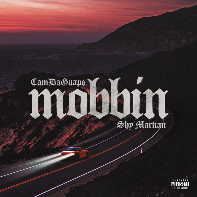 MOBBIN