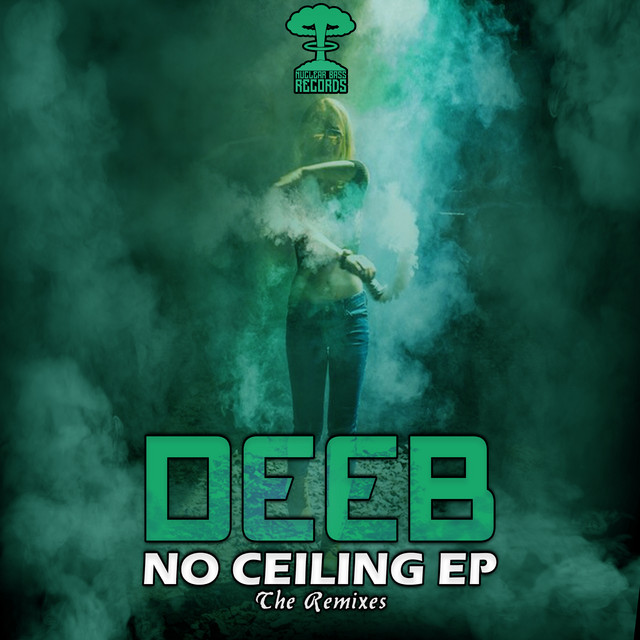 No Ceiling - Jedi Remix cover art