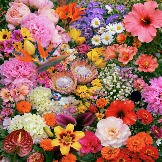 Flowers cover art