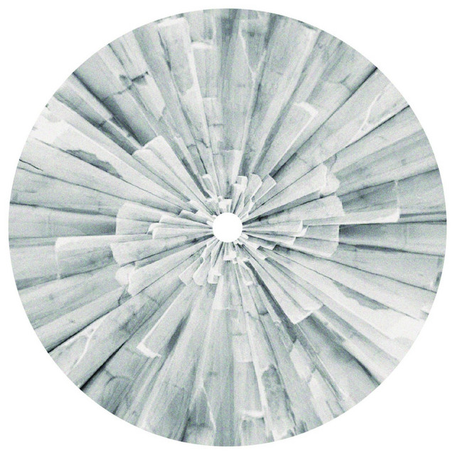 Nikita Zabelin image