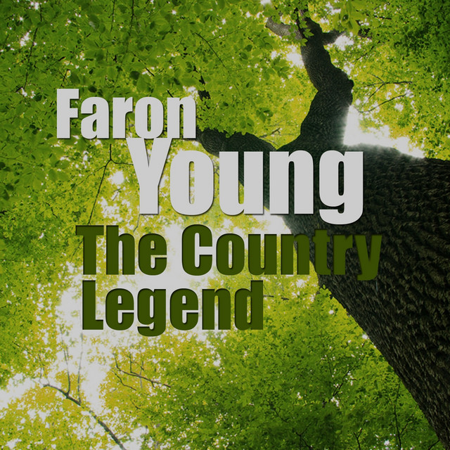 Bouquet of Roses song and lyrics by Faron Young Spotify