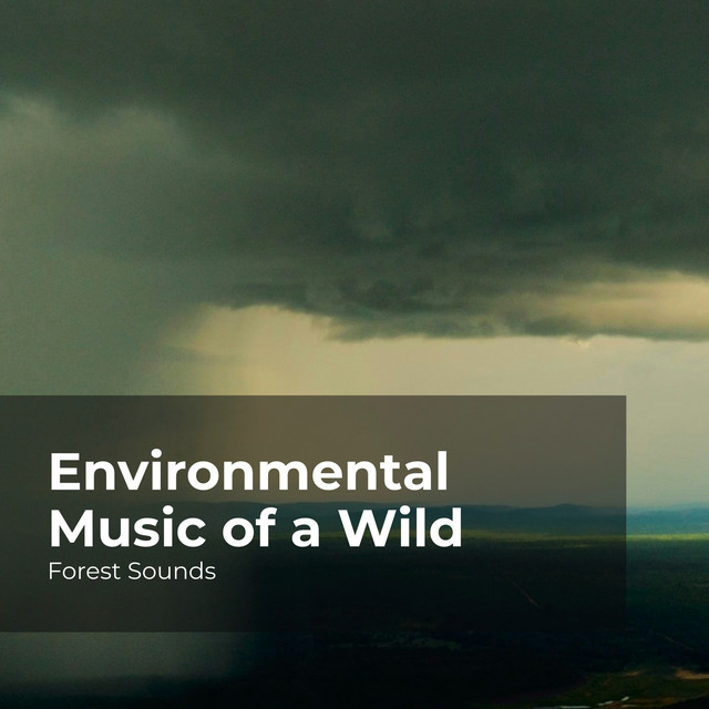 Environmental Music of a Wild - Album by Forest Sounds | Spotify