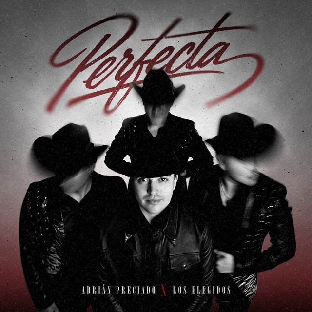 Perfecta by Los Elegidos