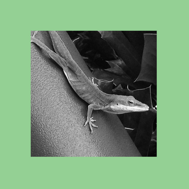 Stranger cover art